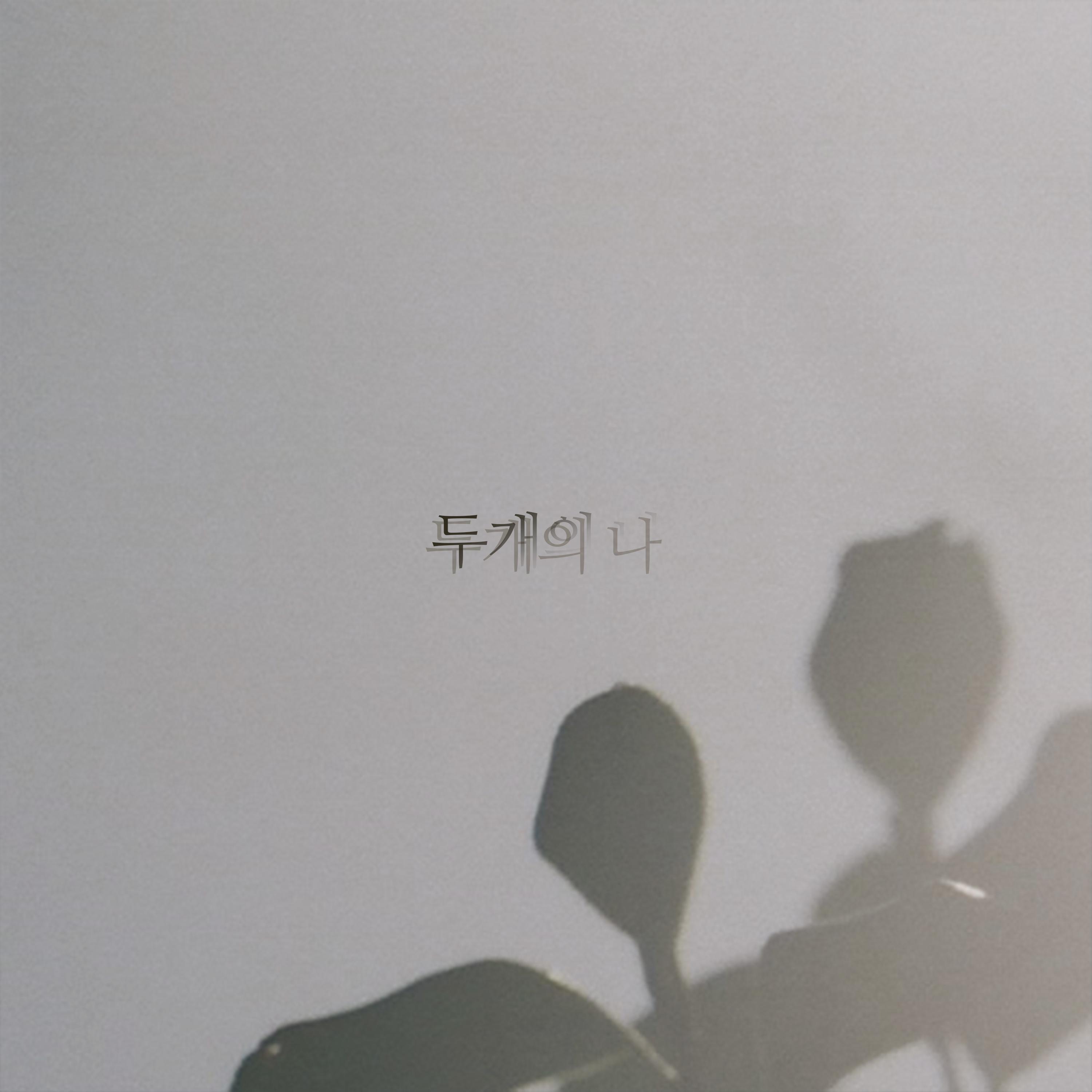 두 개의 나