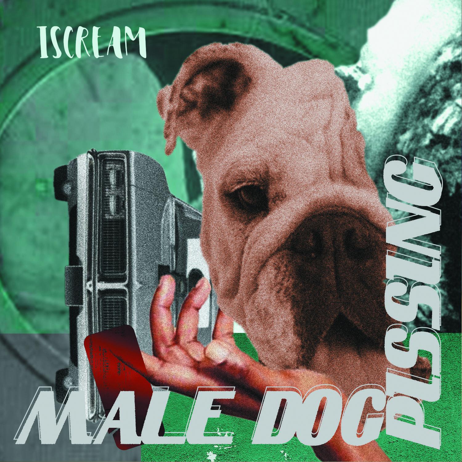 Male Dog Pissing