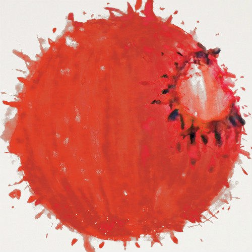 매미는 비가 와도 운다