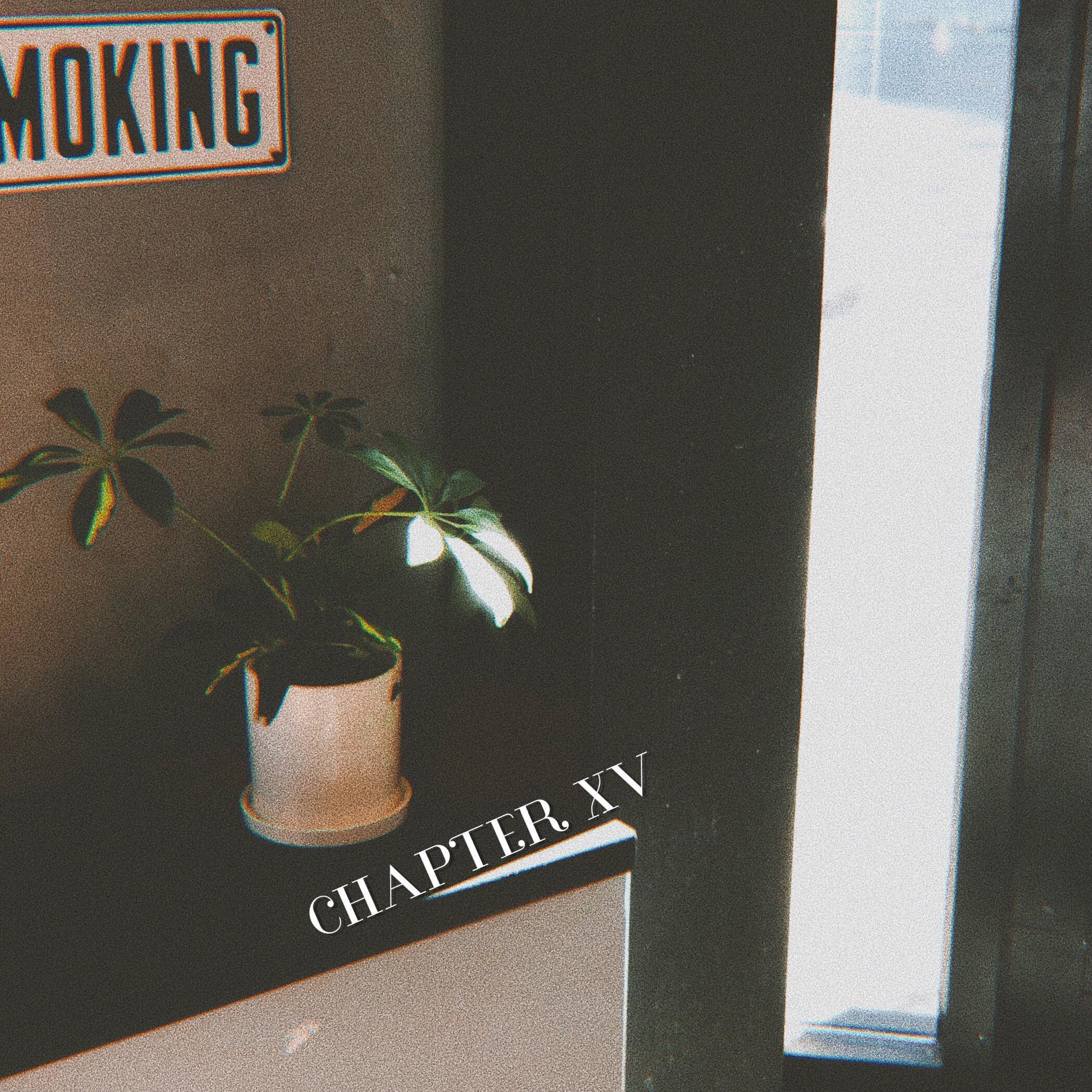 CHAPTER XV