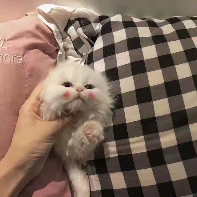 搬进我心里