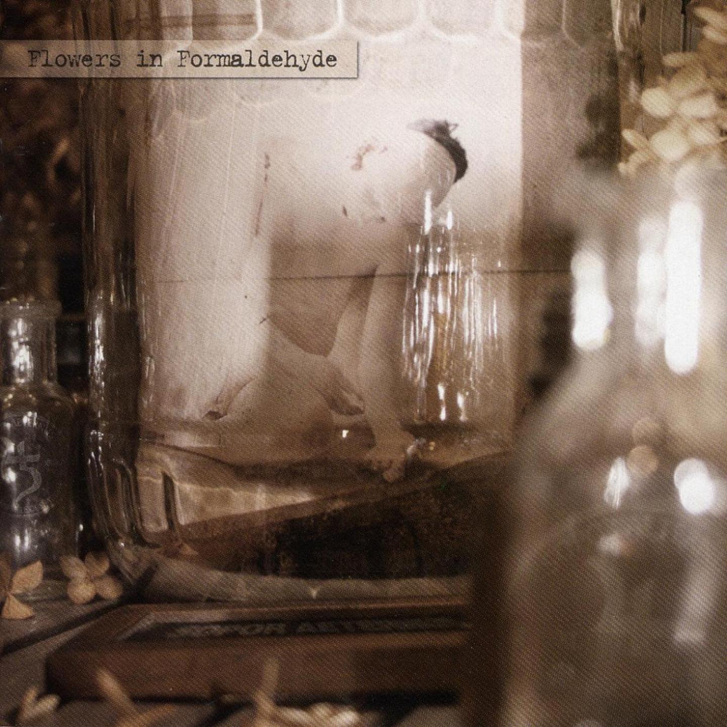 Do You Know My Name? / What Has Happened While We Slept?