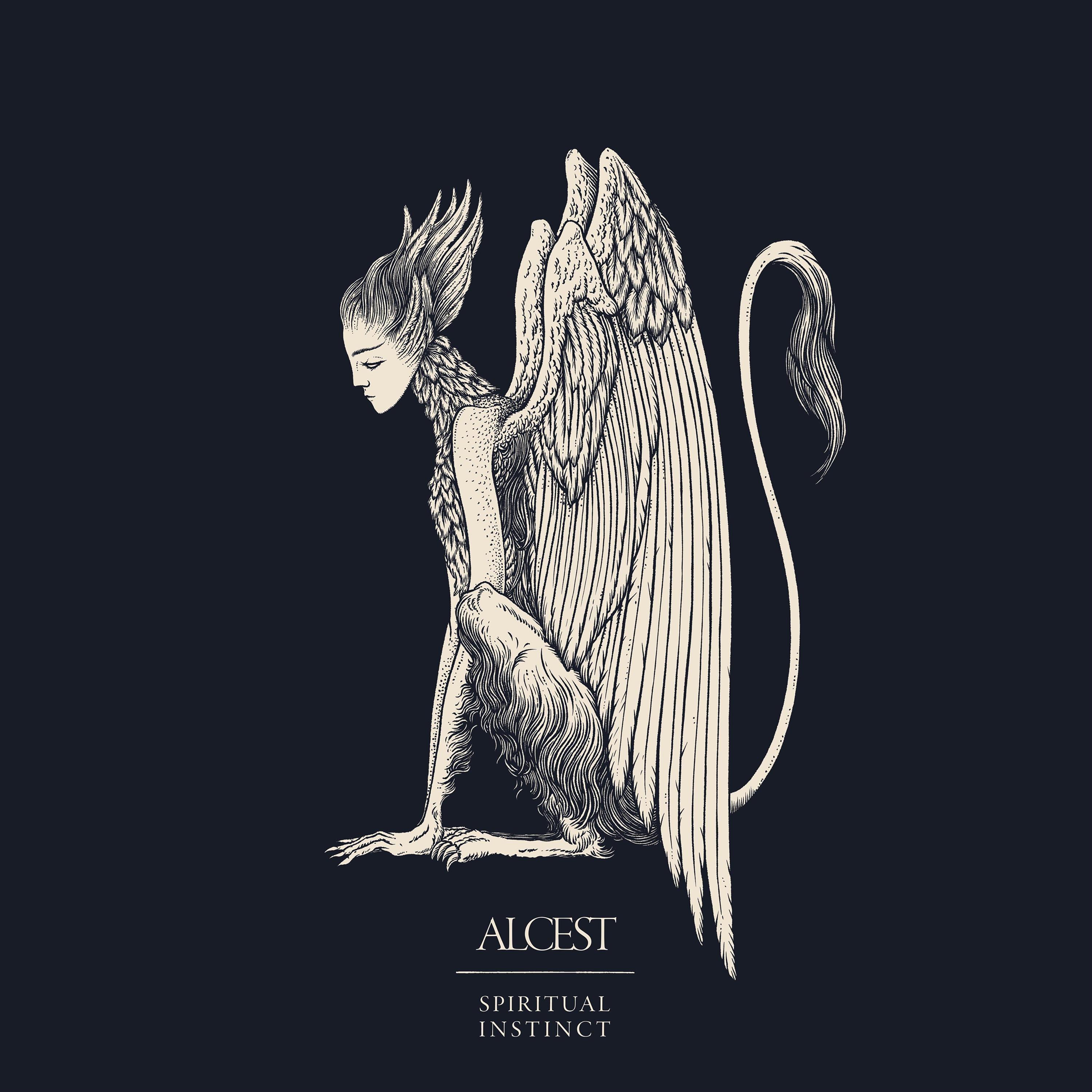 Les jardins de minuit