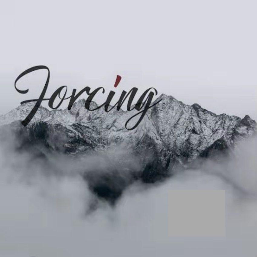 Forcing