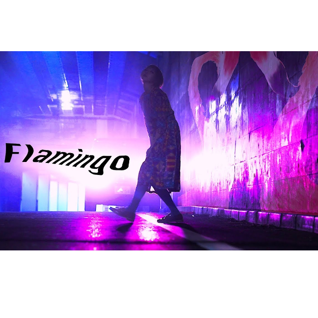 flamingo