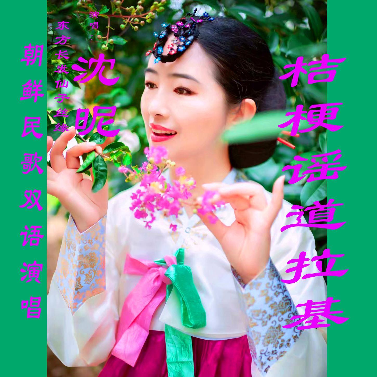 道拉基桔梗谣 沈昵