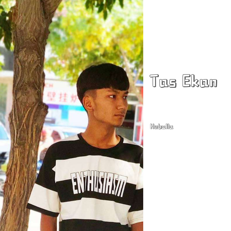 Tas iKan