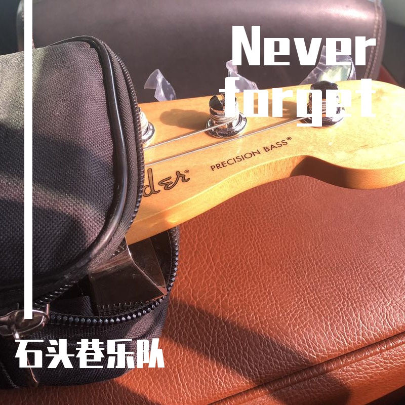 Never forget 伴奏