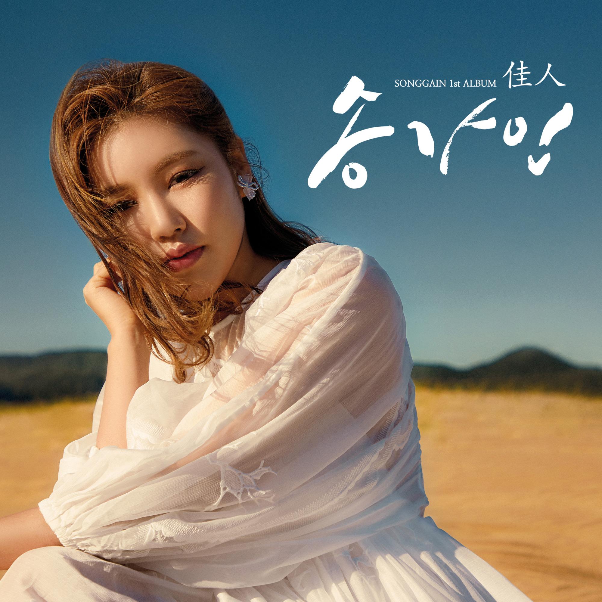 서울의 달