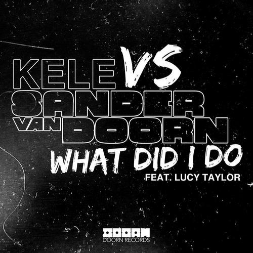 What Did I Do (Original Mix)