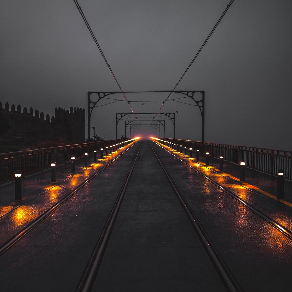雨巷之鸟