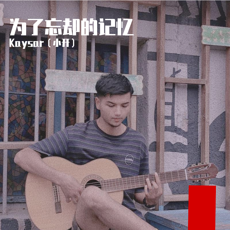 为了忘却的记忆