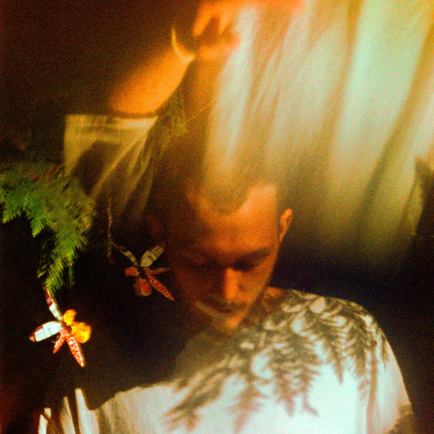 Roots