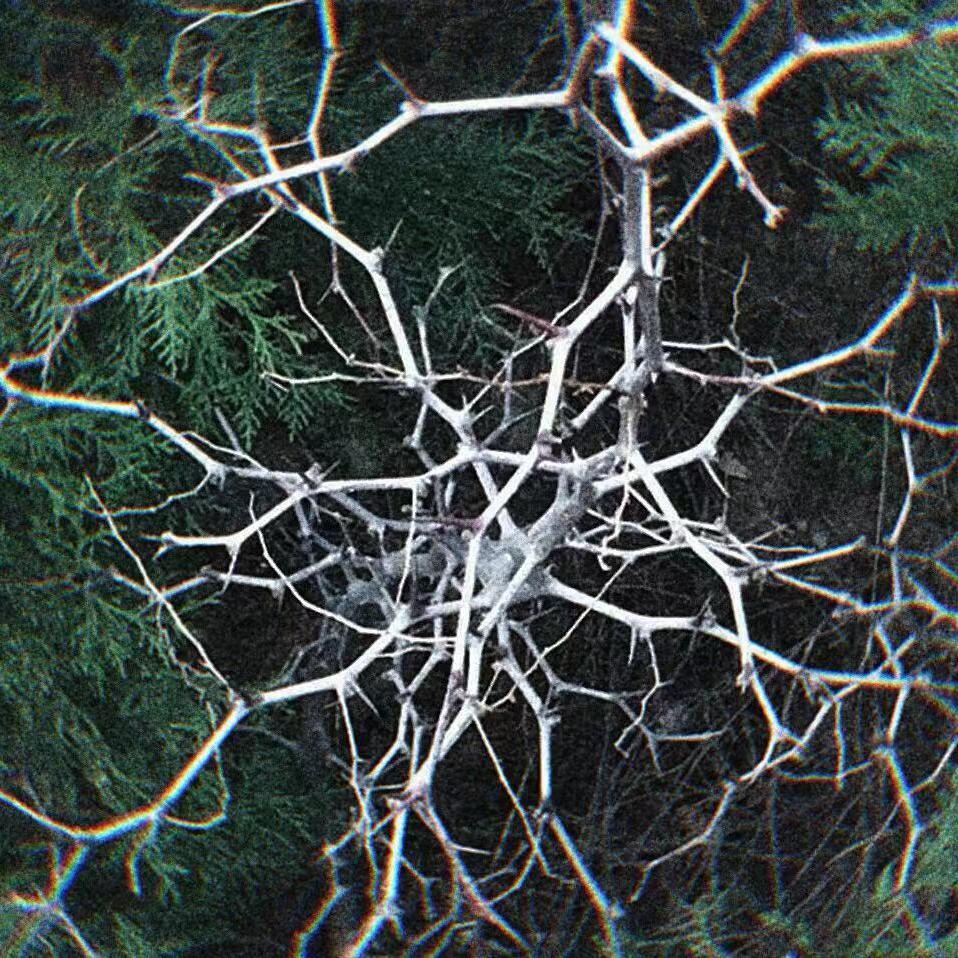 fall Apart