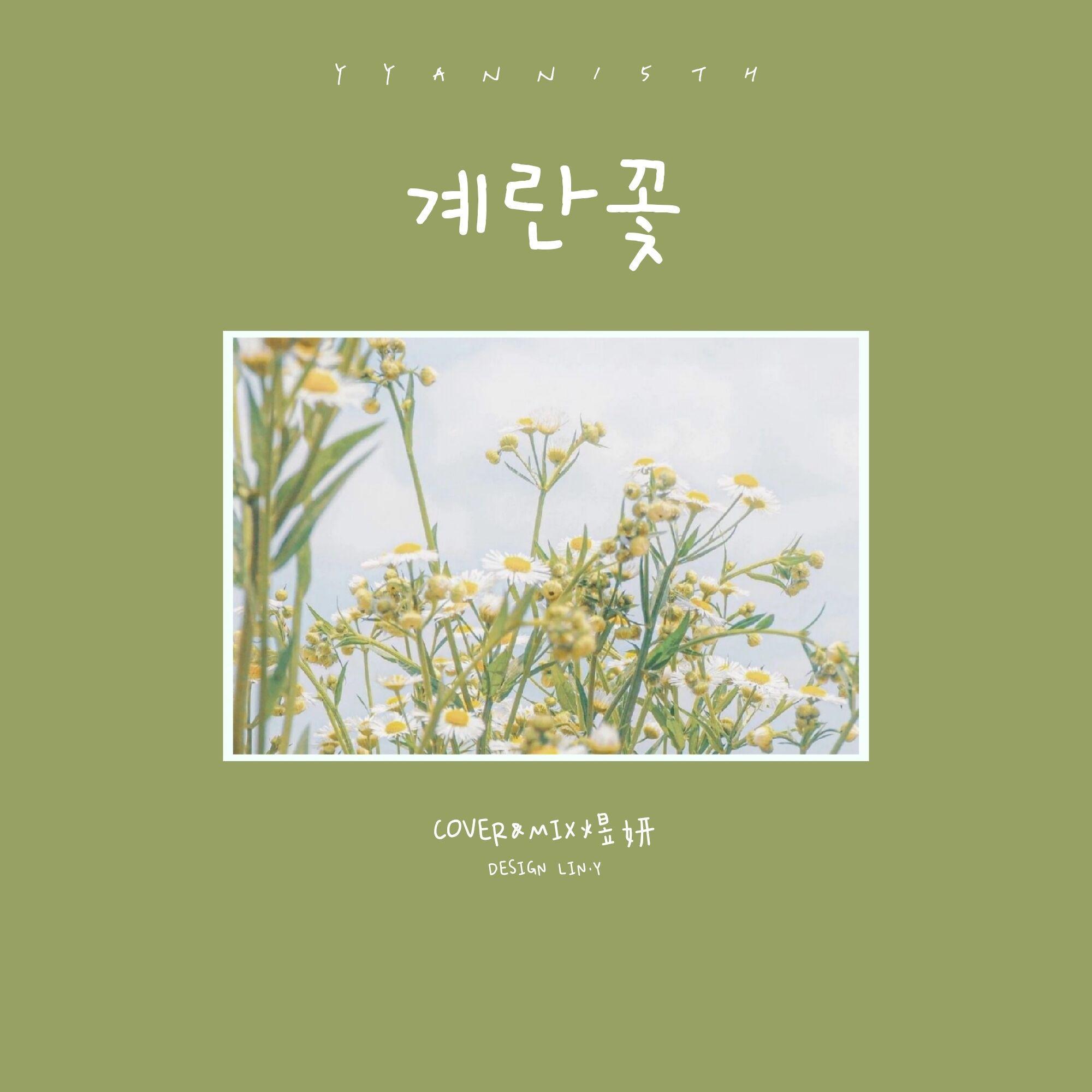 계란꽃