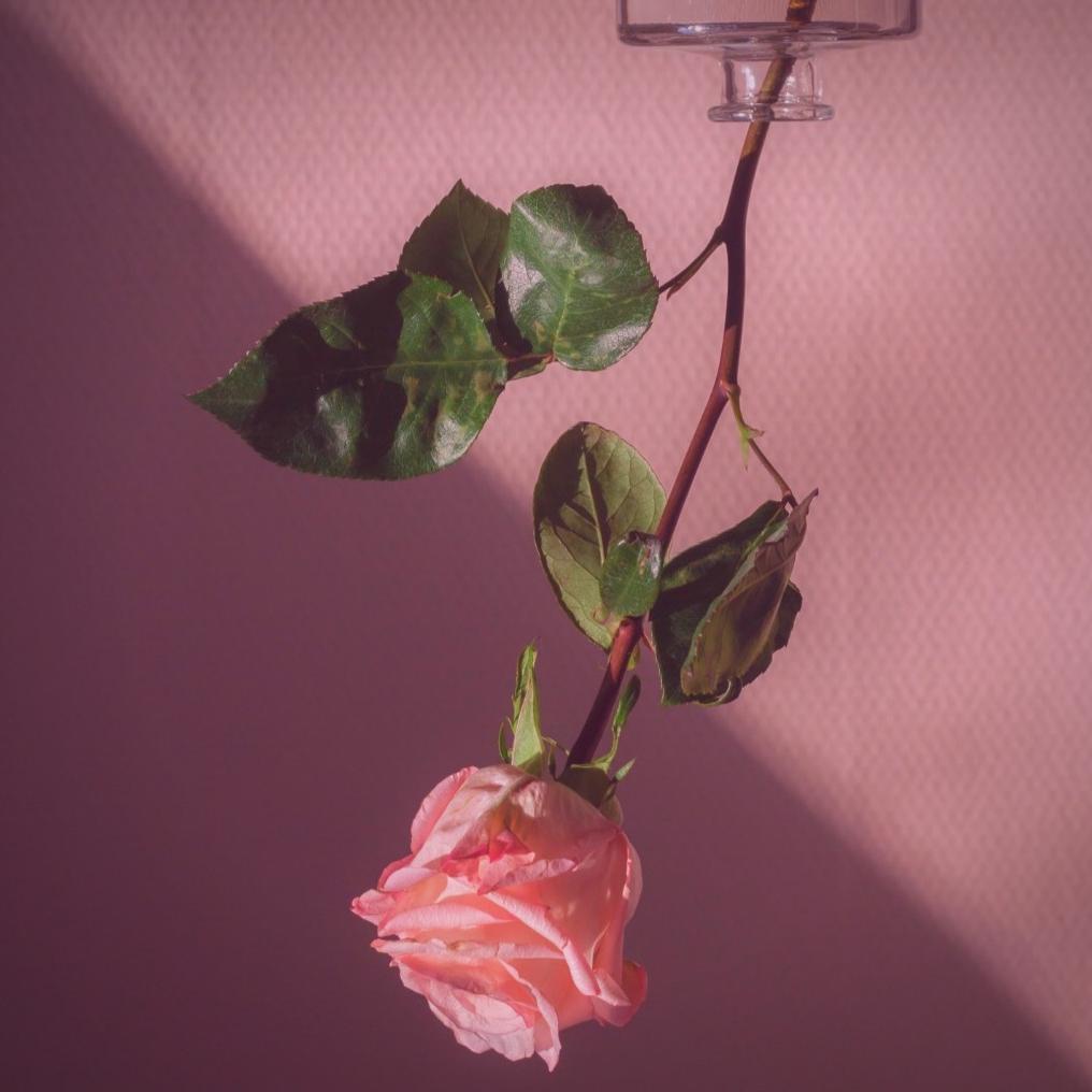 ▧
