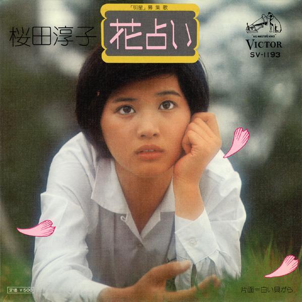 白い貝がら