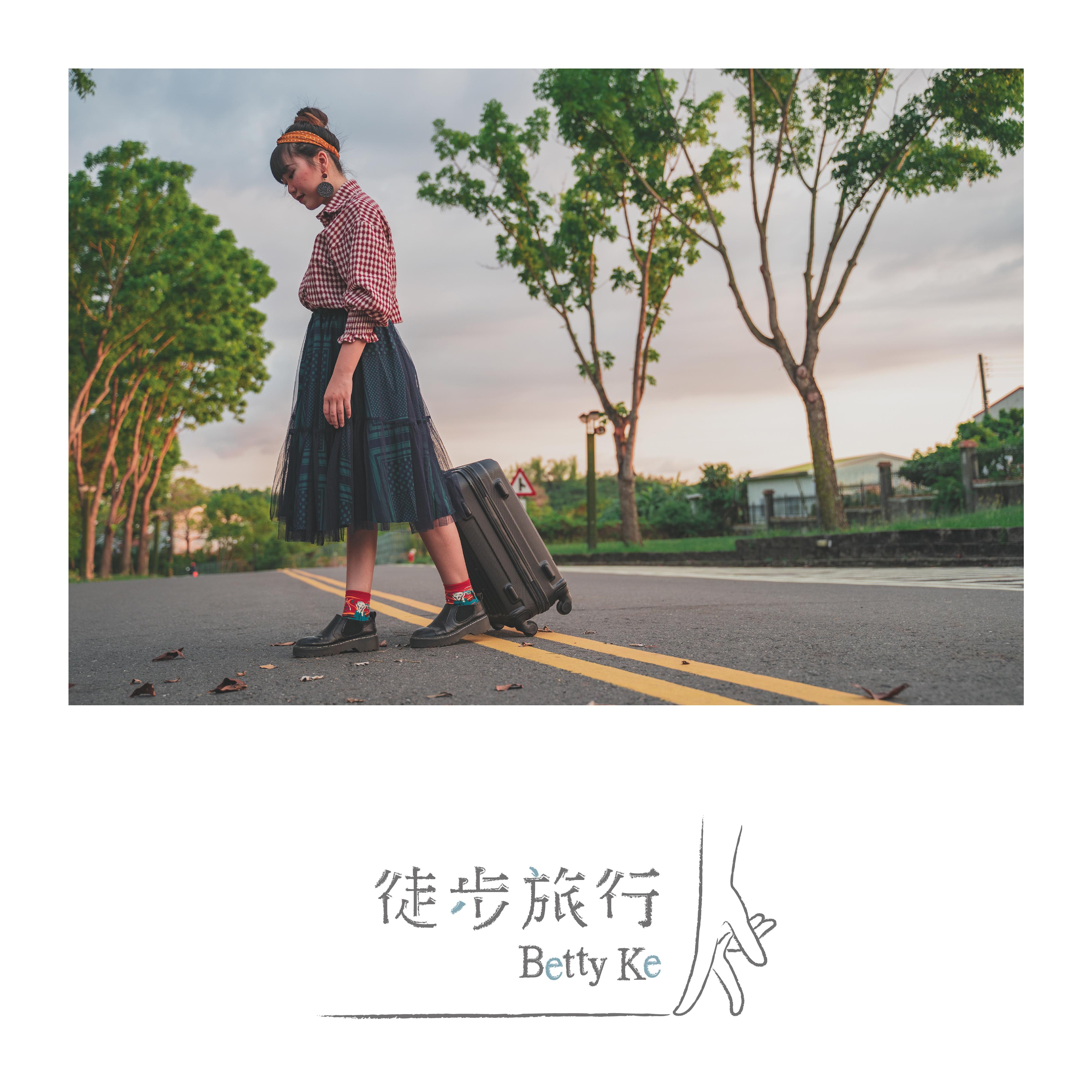 理想的我
