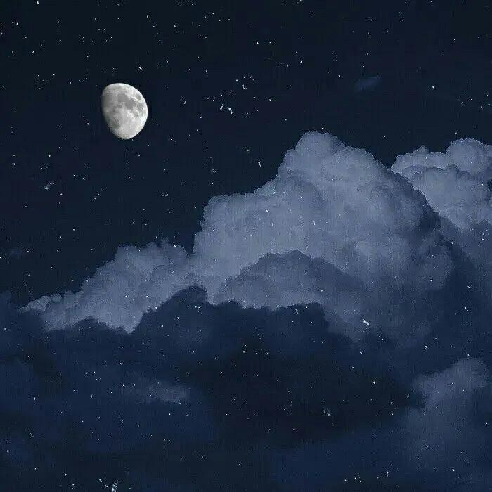 Let's Fall in Love for the Night