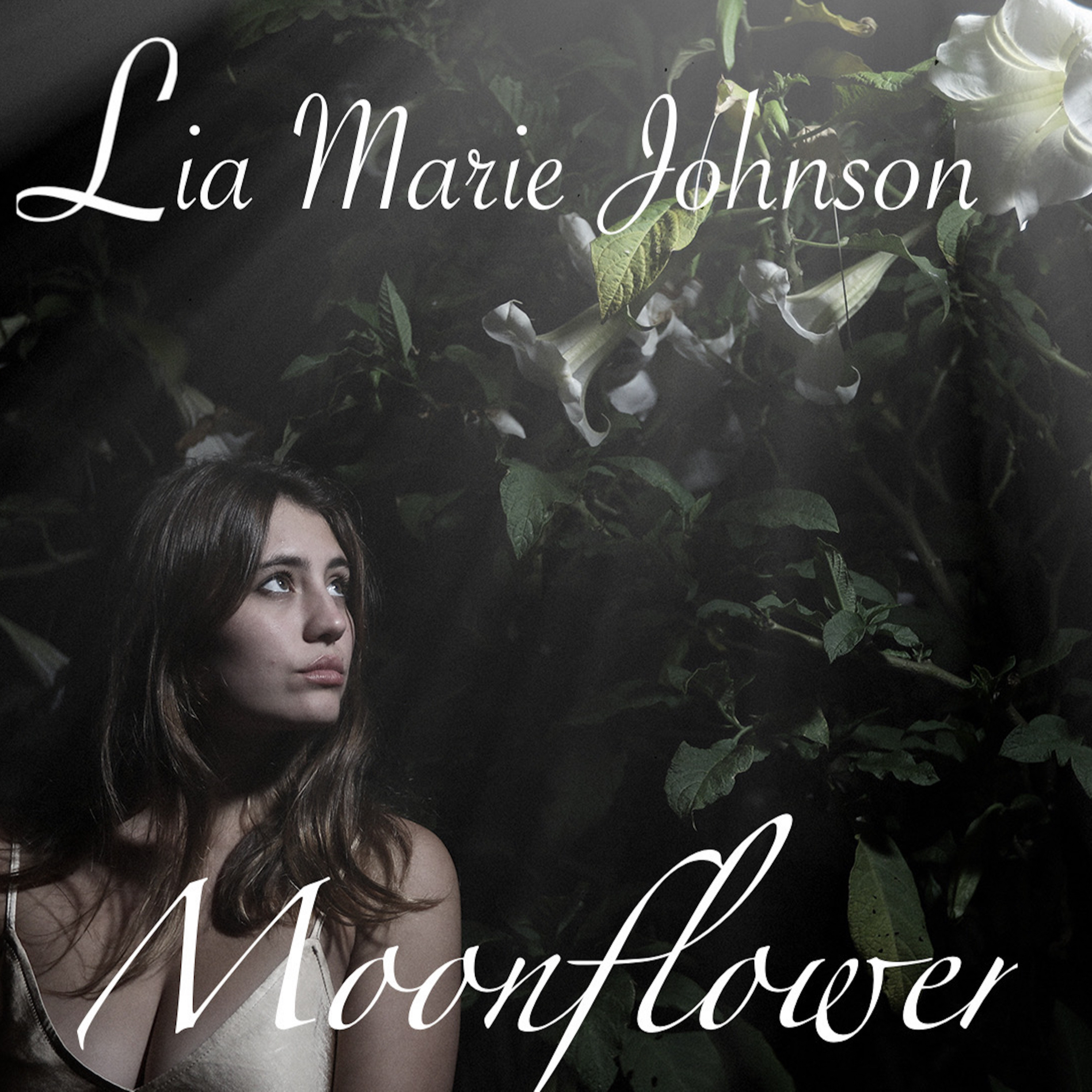 Moonflower