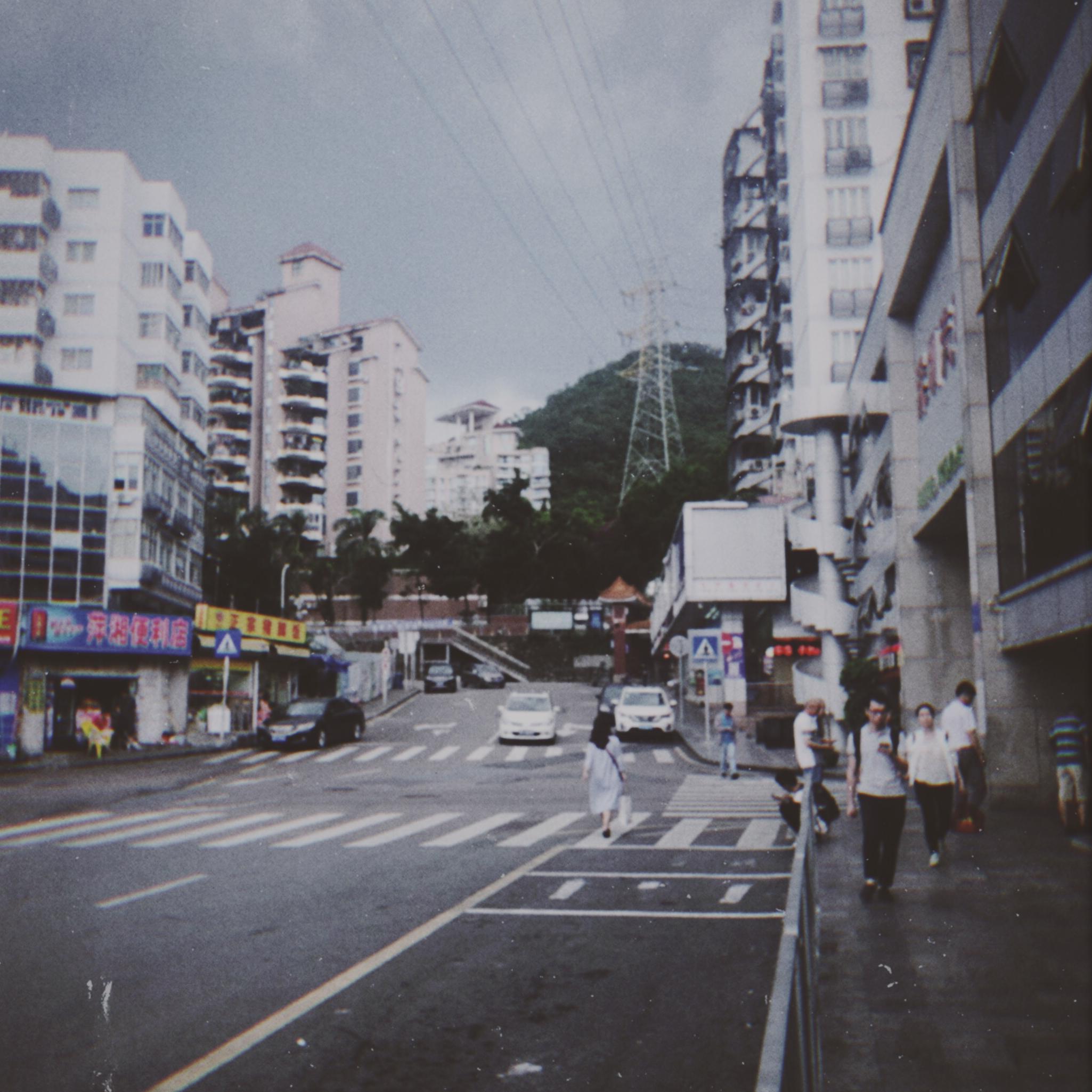 春成玫瑰