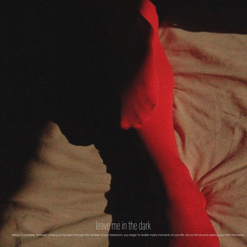 leave me in the dark