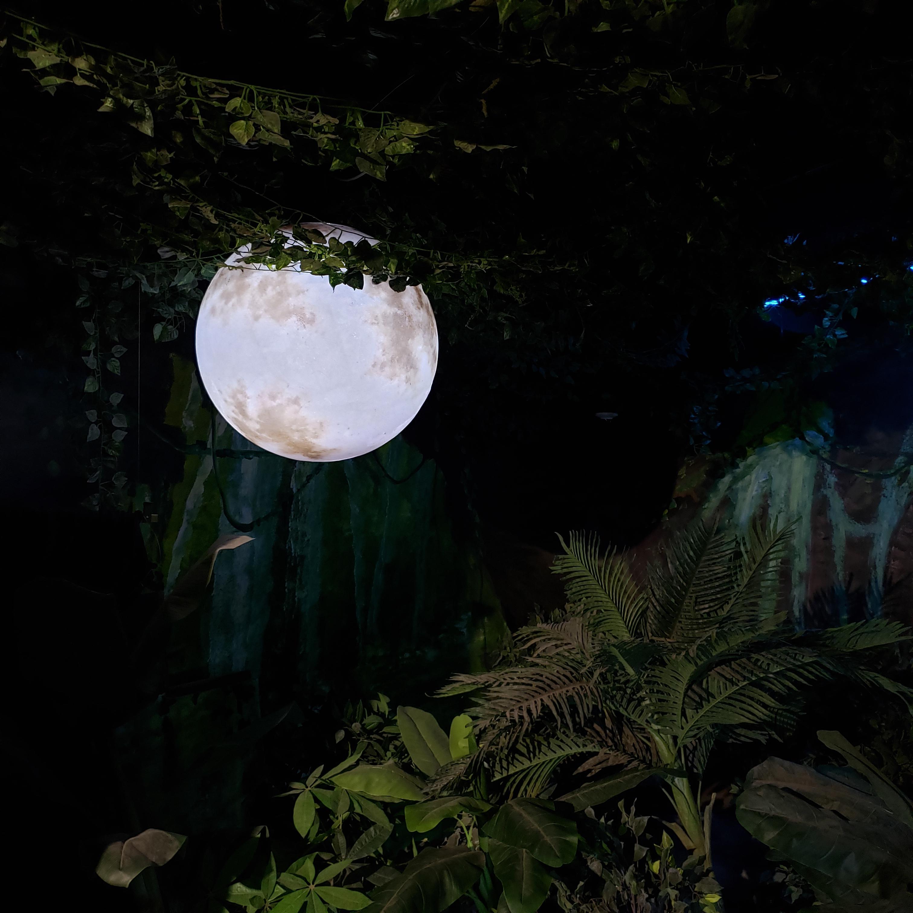 Fly Me to the Moon
