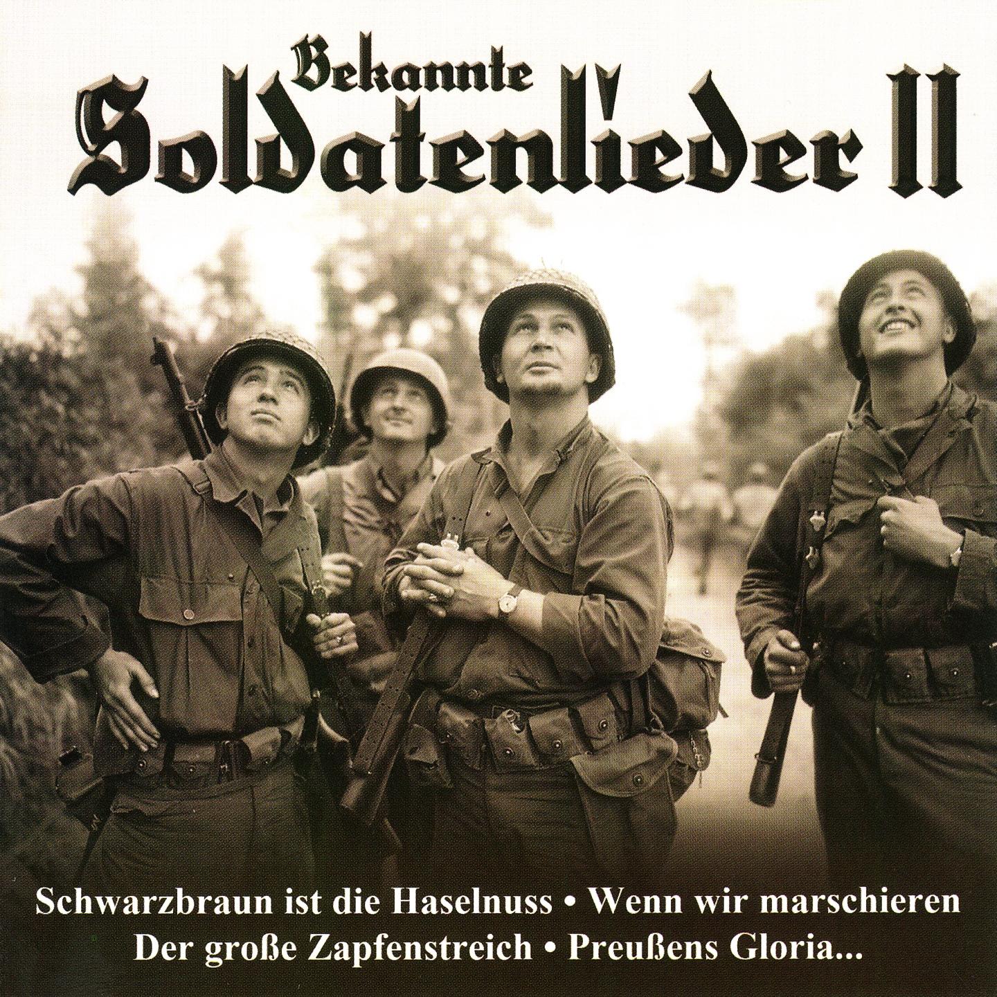Die blauen Dragoner