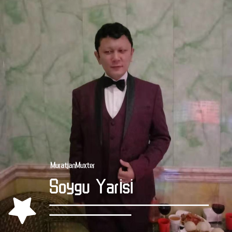 Soygu Yarisi