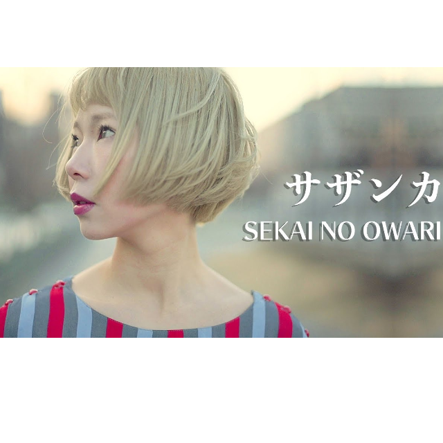 サザンカ