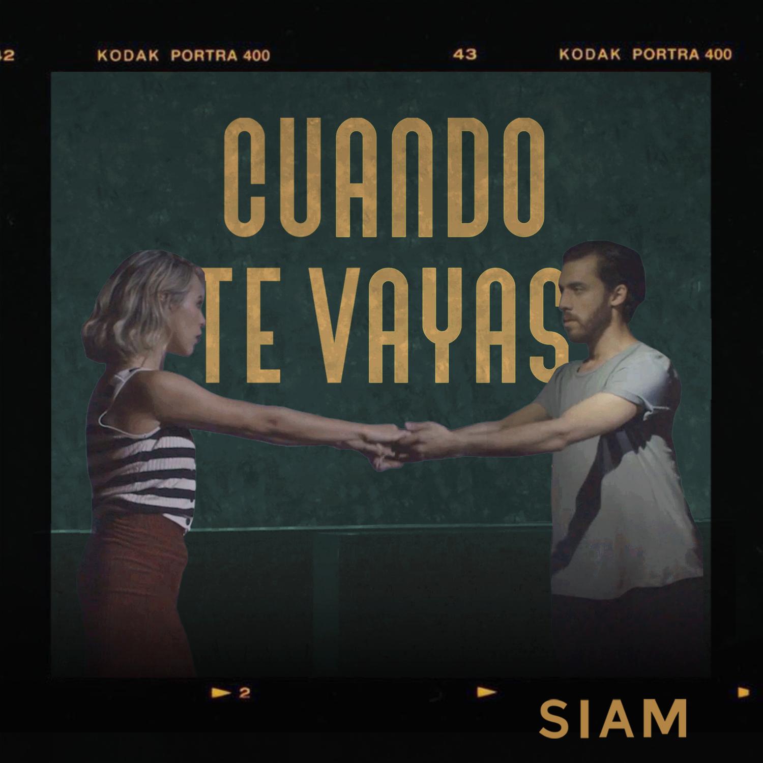 Cuando Te Vayas