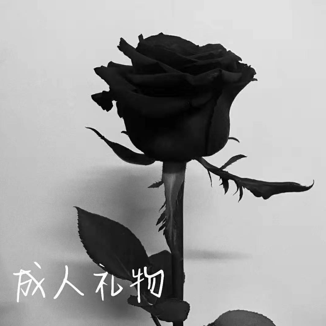 成人礼物