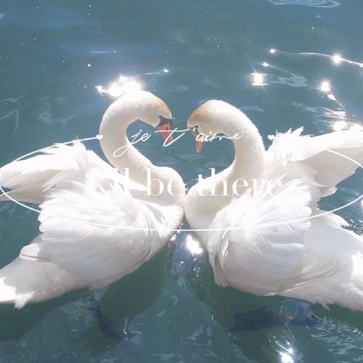 Love Poem
