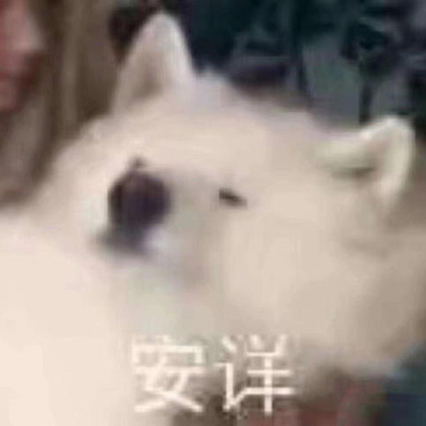 满天