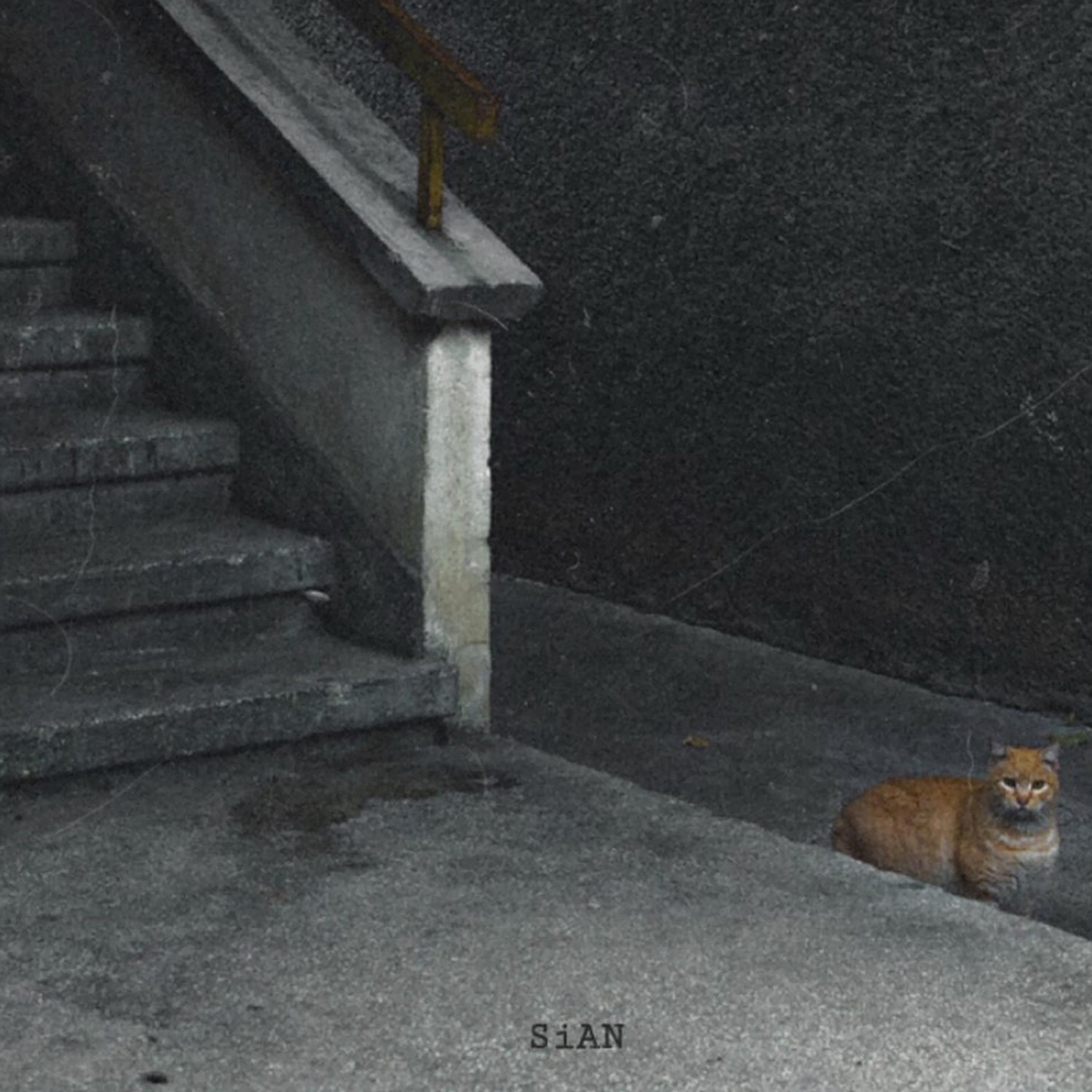 몸은 솔직하다.