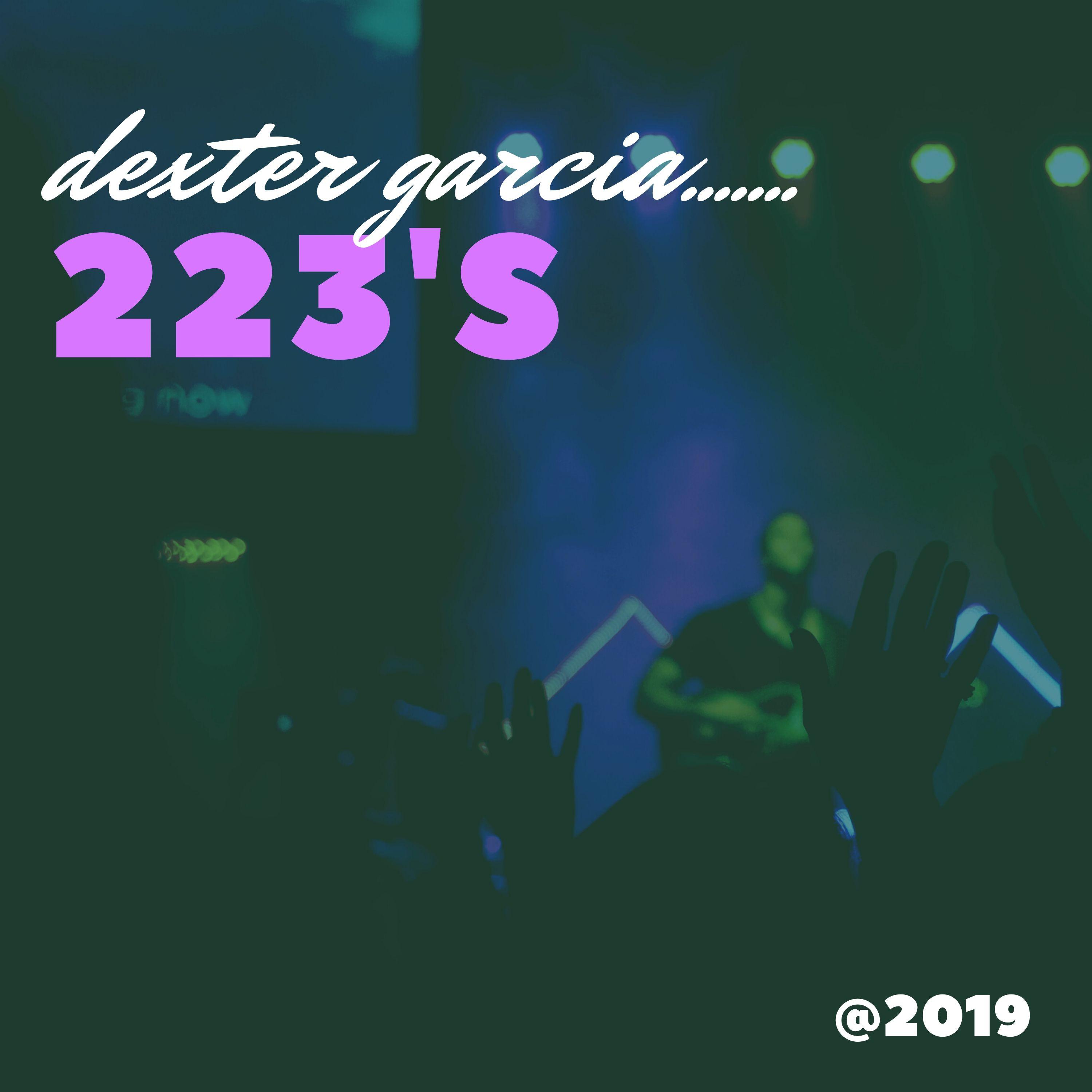 223's