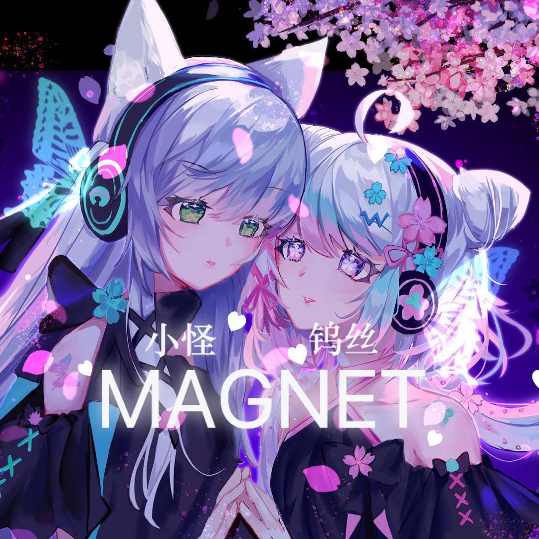 Magnet
