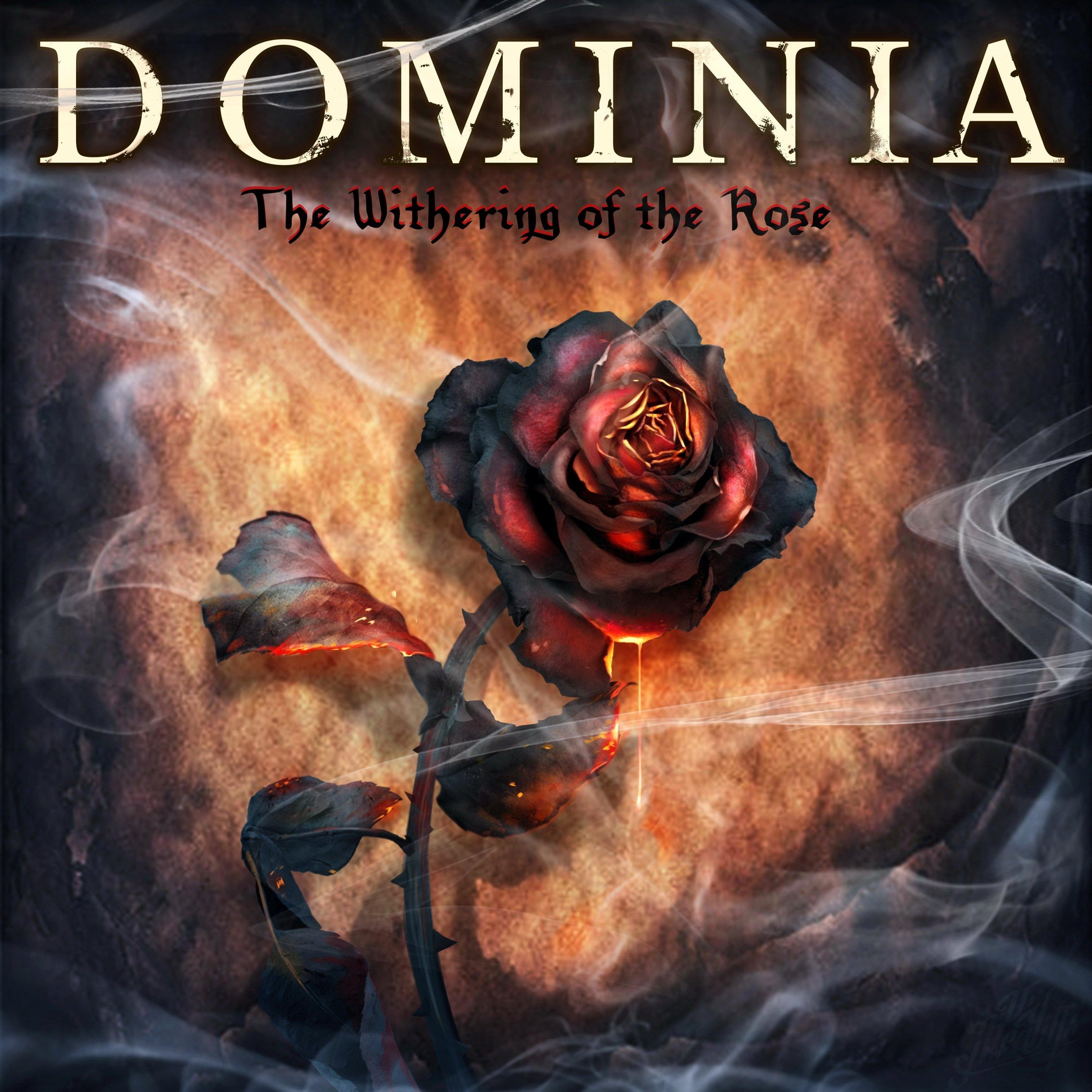 The Light of the Black Sun