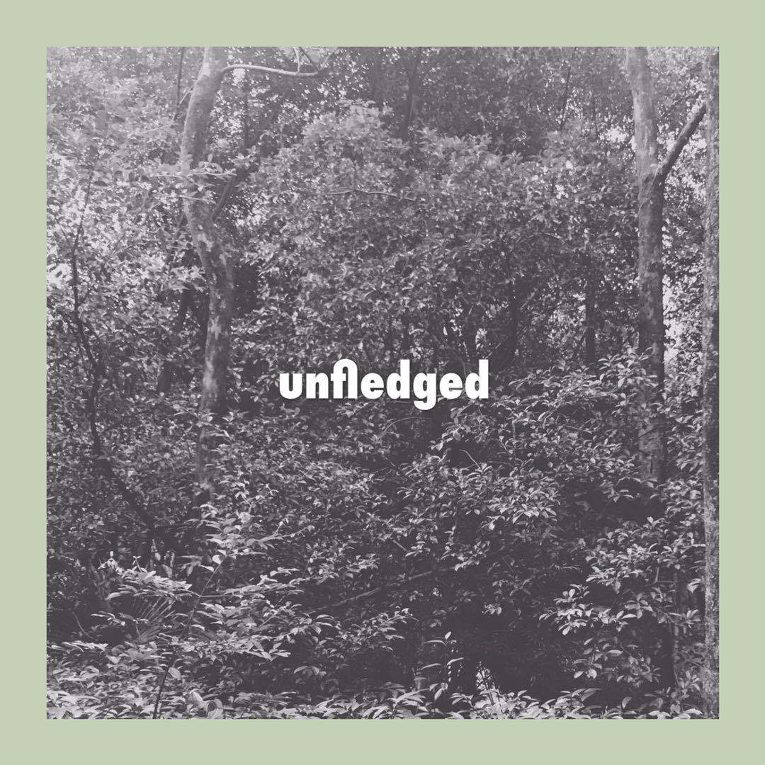 Unfledged