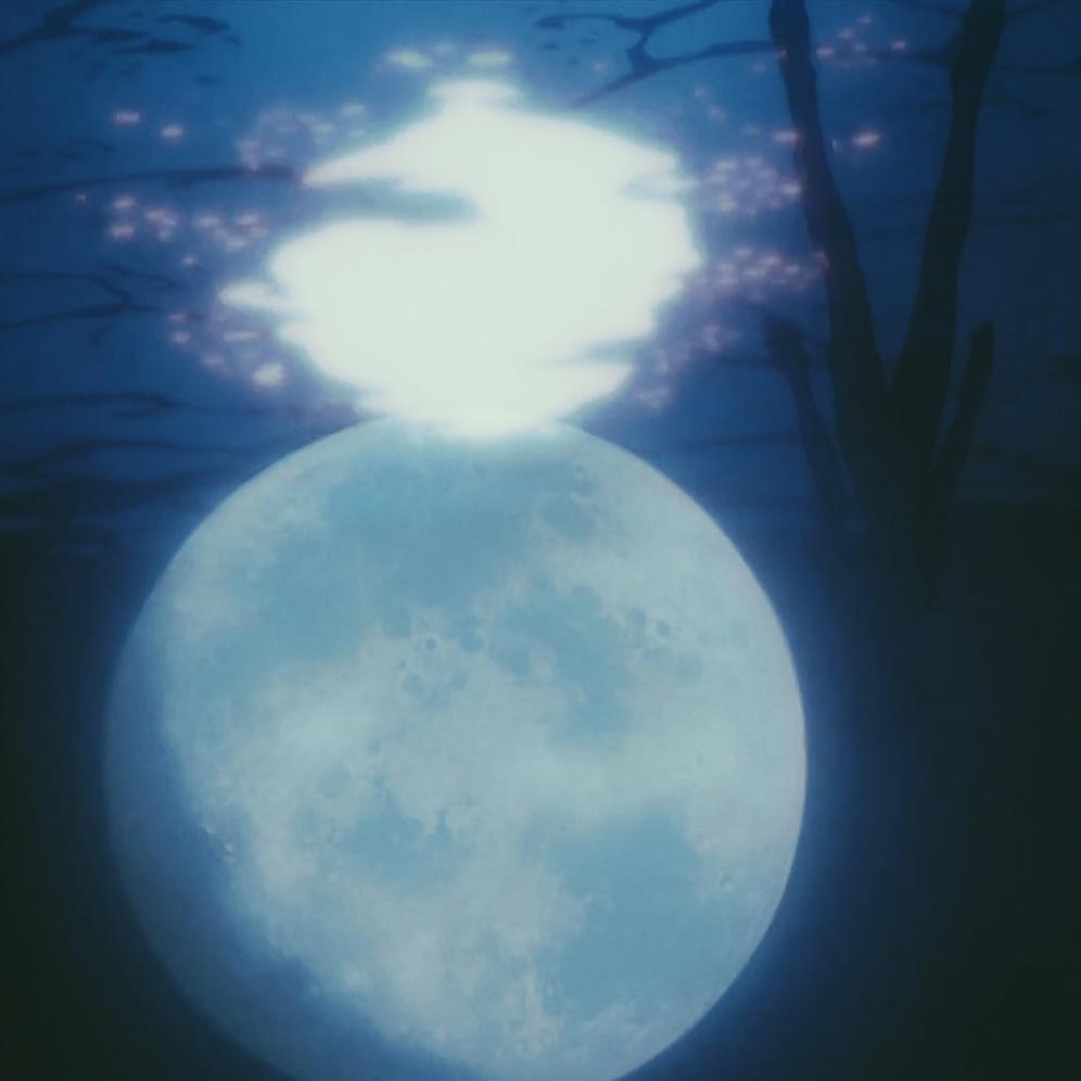 Fly Me To The Moon