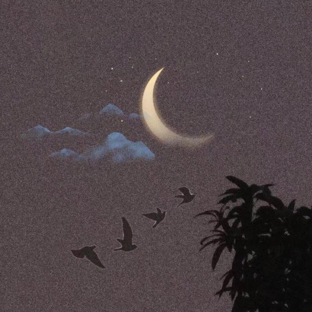 Days And Moons