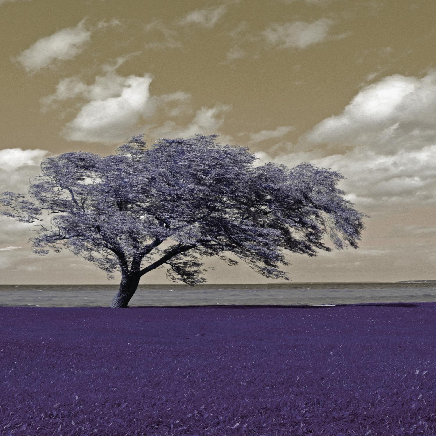 Endlessly Refreshing