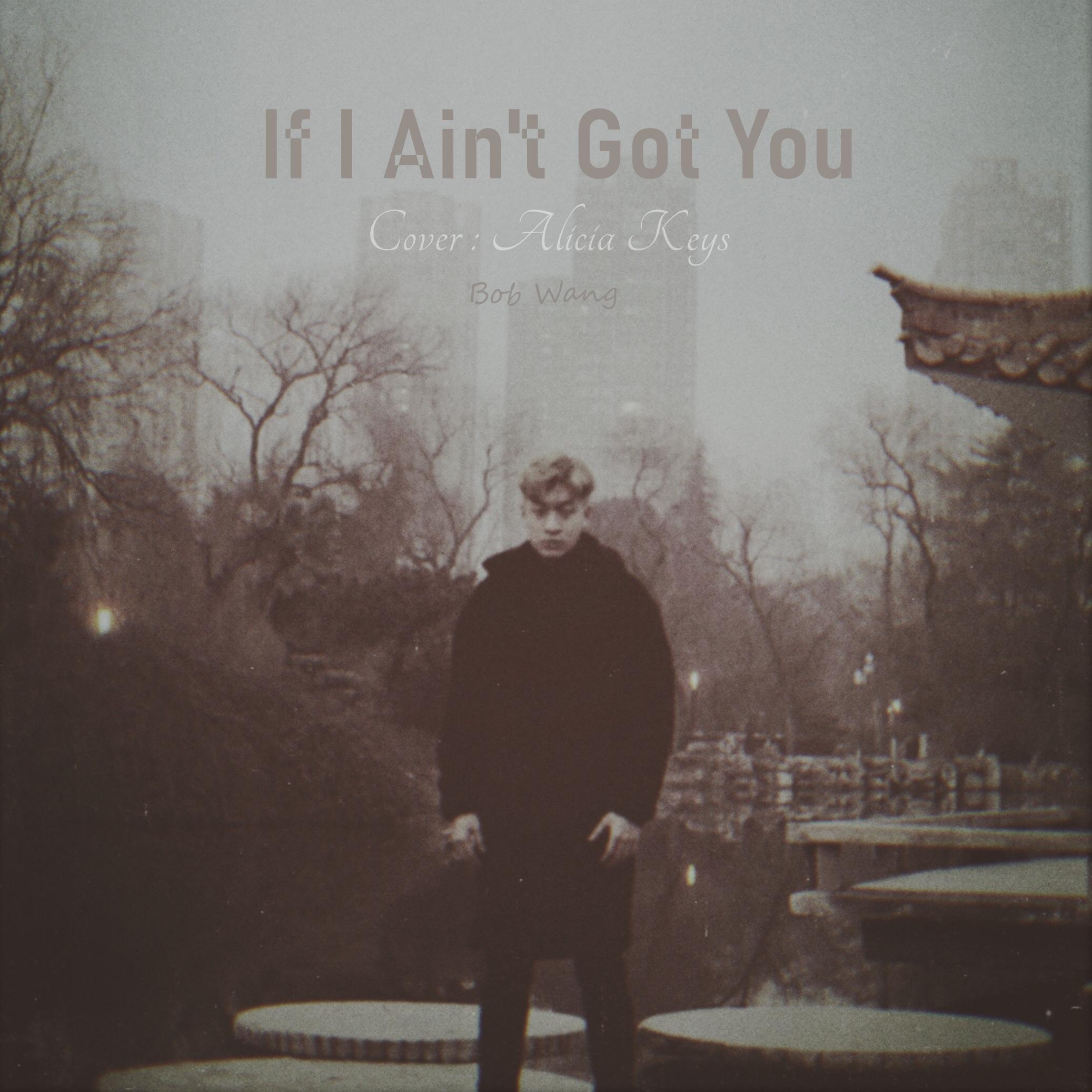 If I Ain't Got You