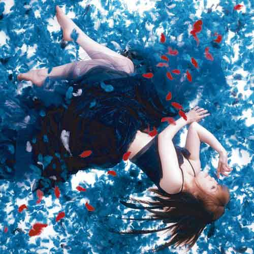 小さな星が降りる时