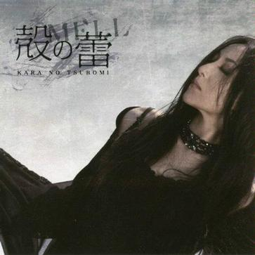 美しく生きたい -i've In Budokan 2009 Live Ver.-