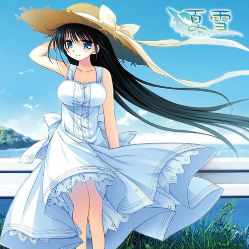 夏の日のリフレイン