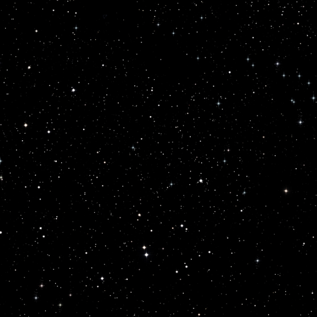 Show me love(Not A Dream)