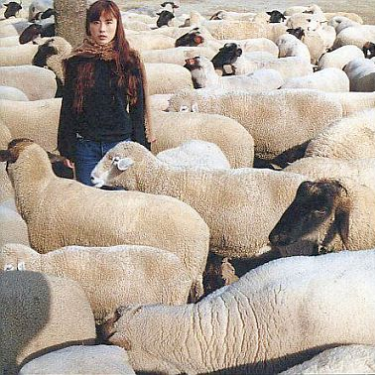 アッシュバーン