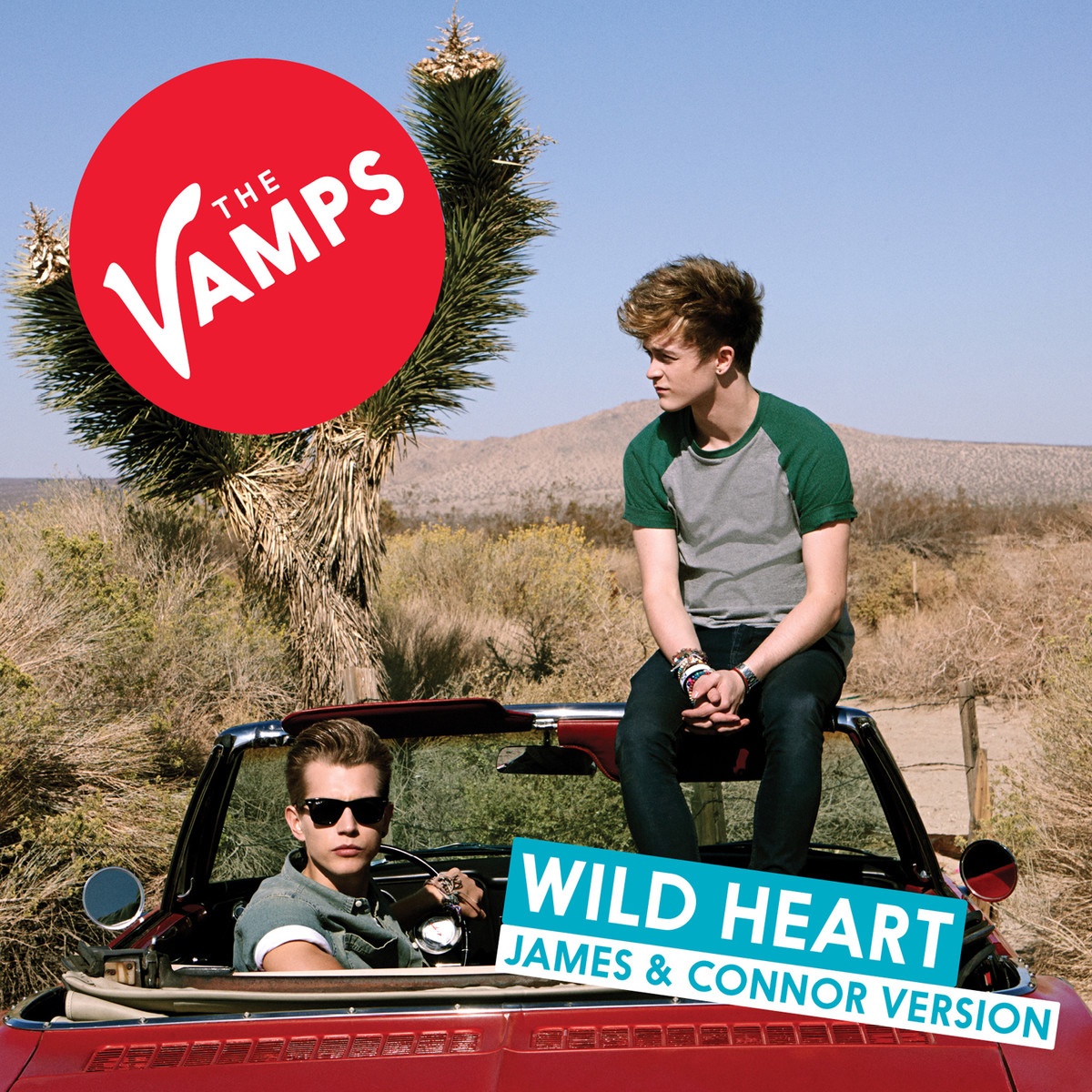 Wild Heart (James & Connor Version)