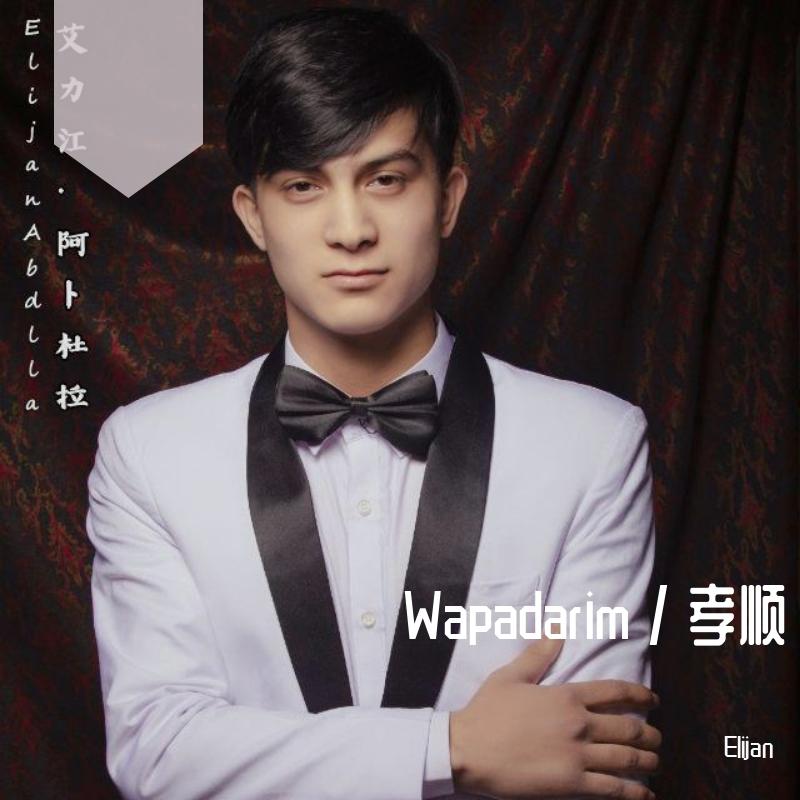 sanam walisi/赛乃姆